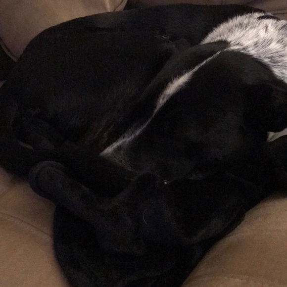 Meet your Posher, Karl - Picture 1 of 1